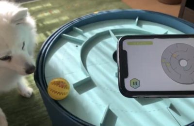 犬と人が本気で遊べるゲームのデザイン検討と開発